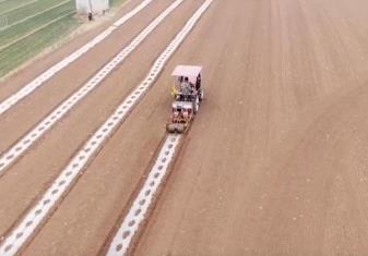 創(chuàng)新種植模式高效利用土地資源 助力農戶增收