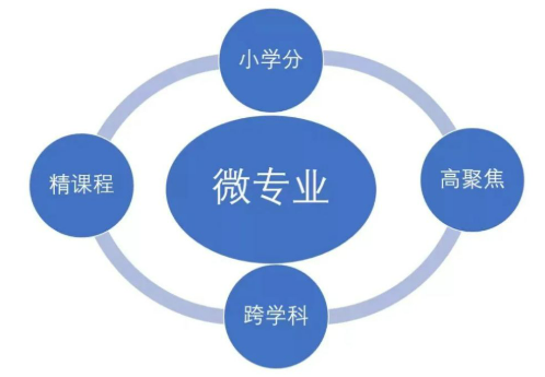 教育部部署實(shí)施高校學(xué)生就業(yè)能力提升“雙千”計劃