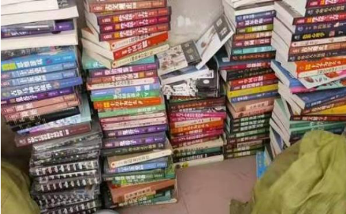 網(wǎng)絡(luò)盜版書籍“屢打不絕”為哪般