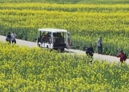 “賞花經(jīng)濟(jì)”帶火鄉(xiāng)村文旅消費(fèi) “花好常開”讓“流量”變“留量”