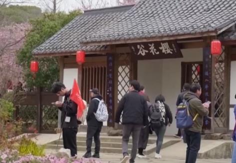 賞花、摘果、運(yùn)動(dòng)、慢游“牽手”春日經(jīng)濟(jì) 釋放消費(fèi)多“彩”活力