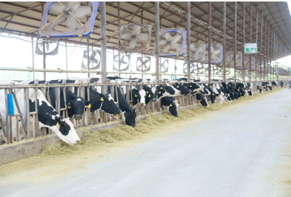 國(guó)內(nèi)首個(gè)畜牧業(yè)碳排放數(shù)據(jù)集獲北京數(shù)據(jù)知識(shí)產(chǎn)權(quán)登記