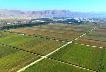 內(nèi)蒙古力爭打造3個百萬畝區(qū)域“噸良田”示范區(qū)