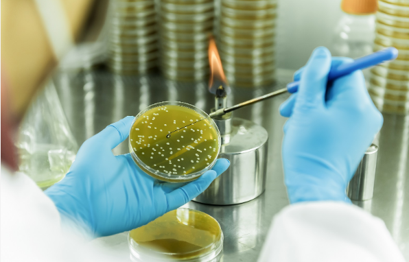 招商局集團(tuán)領(lǐng)航生物基聚酰胺創(chuàng)新突破 打造生物經(jīng)濟(jì)新引擎