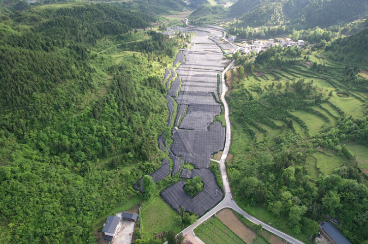 國藥集團(tuán)產(chǎn)業(yè)教育雙輪齊驅(qū)賦能鄉(xiāng)村振興