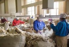 內(nèi)蒙古出臺(tái)方案推進(jìn)羊絨產(chǎn)業(yè)全鏈條升級(jí)