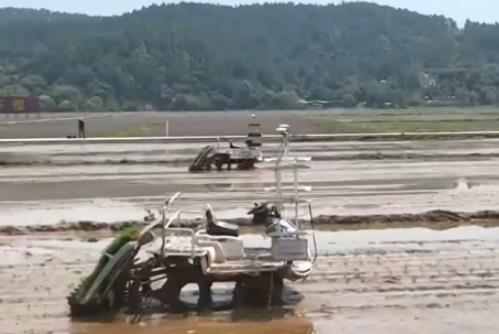 農業(yè)生產向“智”向“新” “太空紫云英”化為春泥助春耕