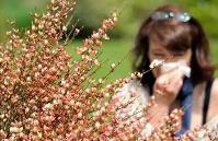花粉過(guò)敏高發(fā) 專家提示有效防護(hù)攻略