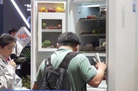 數(shù)智賦能家電 國產(chǎn)品牌亮眼