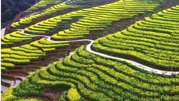 在家門口吃上“旅游飯”四川敘永縣“美麗經(jīng)濟”別樣綻放