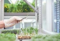 種子企業(yè)有了“體檢證” 內(nèi)蒙古首批認(rèn)證種子上市