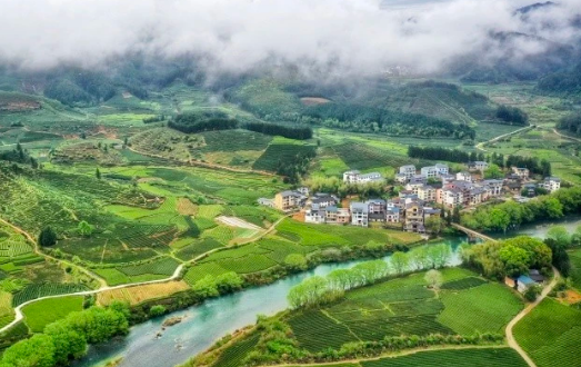 福建武夷山：盤活鄉(xiāng)村閑置資源 賦能鄉(xiāng)村振興