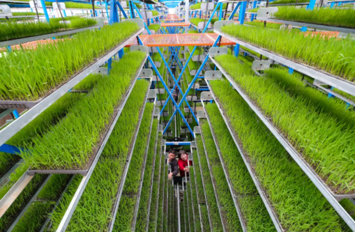 北京市大力發(fā)展都市型現(xiàn)代化農(nóng)業(yè)