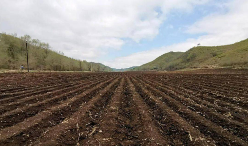 遼寧今年實(shí)施黑土地保護(hù)性耕作面積1370萬(wàn)畝