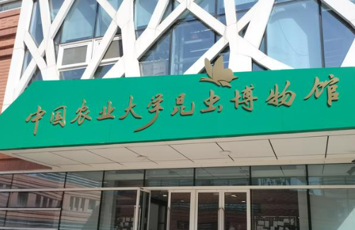 京城高校博物館的N種打開方式