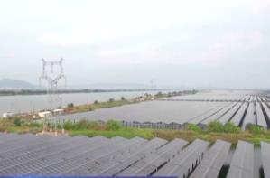 回應(yīng)民生關(guān)切 三方面重點(diǎn)舉措健全市場價(jià)格形成機(jī)制