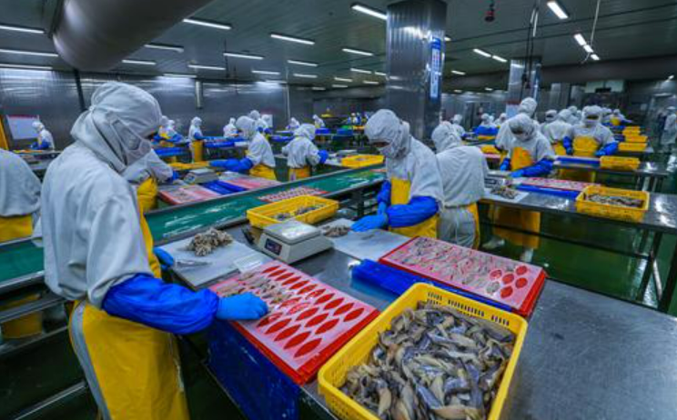 山東榮成： “小產(chǎn)業(yè)” 撬動(dòng) “大消費(fèi)”