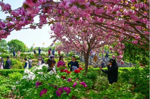 “節(jié)氣+文旅”為市場(chǎng)注入新動(dòng)能