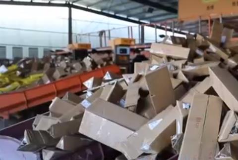 春日鮮花“春運”忙：科技助力鮮花運輸 “流動花園”物流效率提升