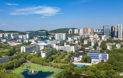 湖北：真金白銀推動中小企業(yè)特色產(chǎn)業(yè)集群提質(zhì)擴量