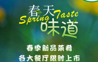 “春味經(jīng)濟”映照餐飲消費新活力