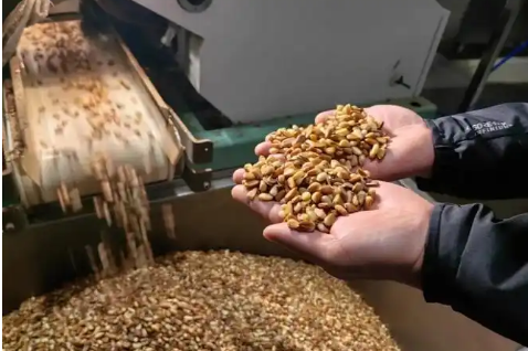 吉林梅河口松子產(chǎn)業(yè)的四十年升級之路