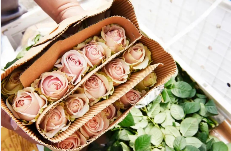 20250410102528435.png 20250410102528435.png