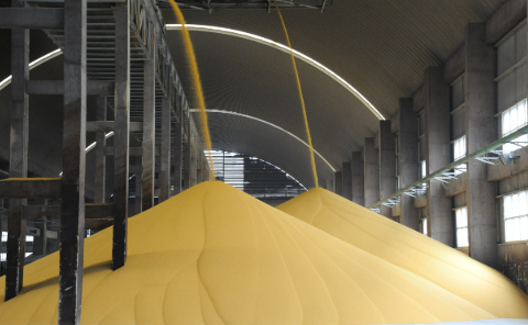 守好“責(zé)任田”！貴州磷化集團(tuán)筑牢糧食安全戰(zhàn)略根基