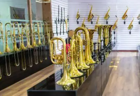 天津市靜海區(qū)蔡公莊鎮(zhèn)：中國小鎮(zhèn)奏響薩克斯“世界之音”