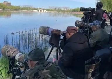 生態(tài)旅游正當(dāng)時(shí) 讀懂“打鳥熱”背后的多重期待