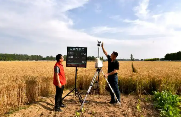 2030年將基本建成新型氣象為農(nóng)服務(wù)體系