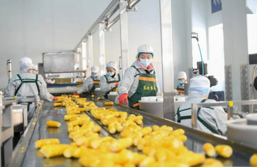 拓潛力、增活力、聚合力——東北三省加快壯大民營(yíng)經(jīng)濟(jì)