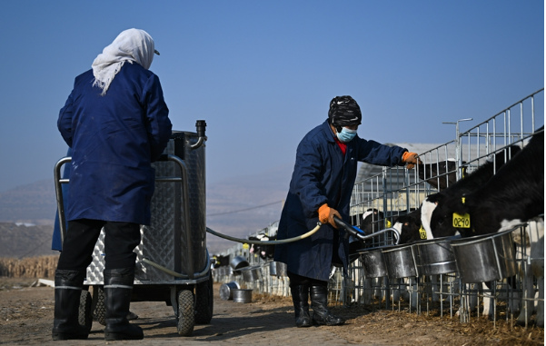 牢牢守住不發(fā)生規(guī)模性返貧致貧底線——西部脫貧地區(qū)“5年過渡期”一線觀察