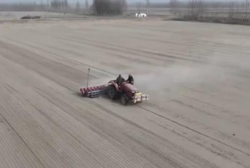 沙漠里種水稻？揭秘塔克拉瑪干邊緣4000畝綠色奇跡