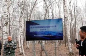 黑龍江：今年預(yù)計采集20萬噸樺樹汁 帶動林區(qū)增收超4億元