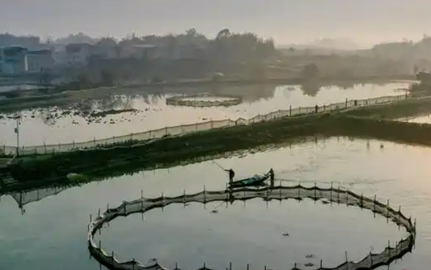 四川廣安“五大行動(dòng)”推進(jìn)水產(chǎn)綠色養(yǎng)殖