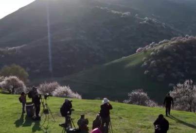 “賞花經(jīng)濟(jì)”持續(xù)釋放消費(fèi)潛力 繪就“花開(kāi)中國(guó)”的繁榮圖景