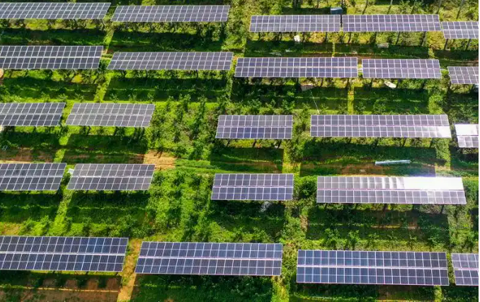 山東蘭陵光伏綠電繪就“農(nóng)光互補(bǔ)”智慧農(nóng)業(yè)新圖景