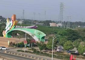 中國茉莉花之鄉(xiāng)鮮花供不應求：新式茶飲風行，吸引更多年輕人消費