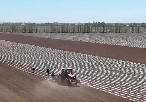 數(shù)字賦能春耕沃野生機(jī)勃勃 一幅幅“科技春耕圖”在廣袤田野鋪展開(kāi)