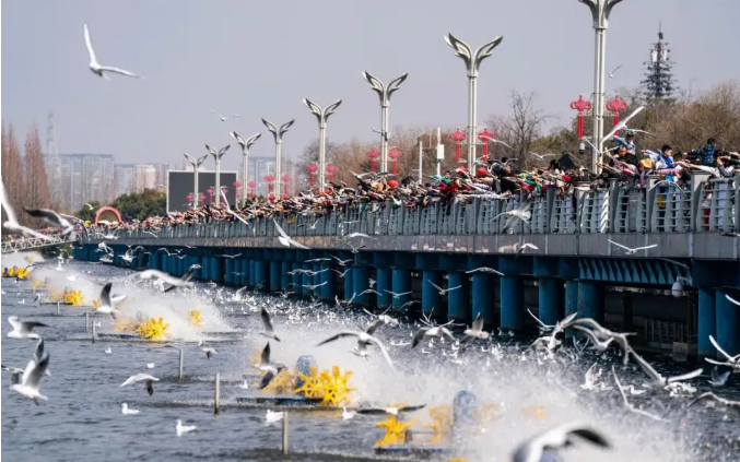 “打卡式”旅游轉(zhuǎn)型深度體驗度假，旅居云南，共赴山水之約