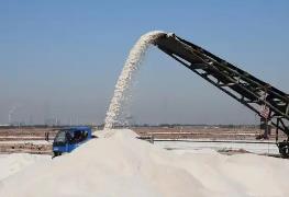 3月份我國原鹽市場偏弱調(diào)整