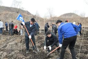 黑龍江：春風(fēng)拂暖催新綠 植樹(shù)造林正當(dāng)時(shí)