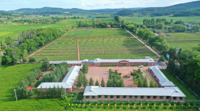 龍江森工集團(tuán)多維度提升生態(tài)“專業(yè)化”水平 維護(hù)國家生態(tài)安全