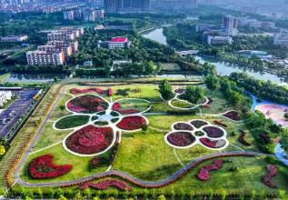 “花木之鄉(xiāng)”沭陽，一場持續(xù)五年的“誠信實驗”