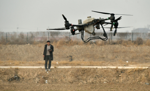 河北：多措并舉綜合利用鹽堿地