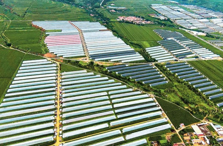 執(zhí)“實(shí)干筆”繪“實(shí)景圖” 推進(jìn)鄉(xiāng)村全面振興國家能源集團(tuán)彰顯央企擔(dān)當(dāng)