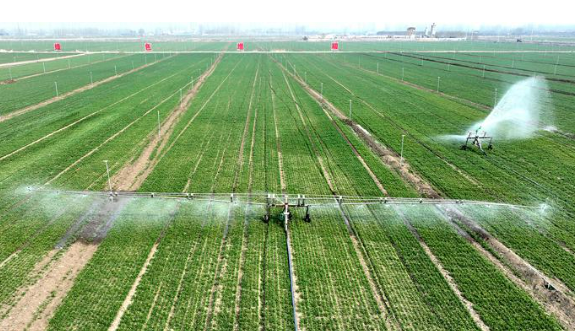 向新向綠，農(nóng)業(yè)新質(zhì)生產(chǎn)力繪就春耕新圖景