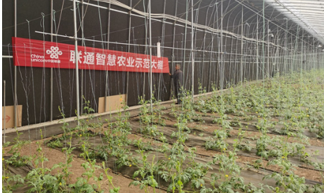 充實(shí)農(nóng)業(yè)“含綠量”提升環(huán)保“含金量” 中國聯(lián)通奏響綠色發(fā)展“春之曲”