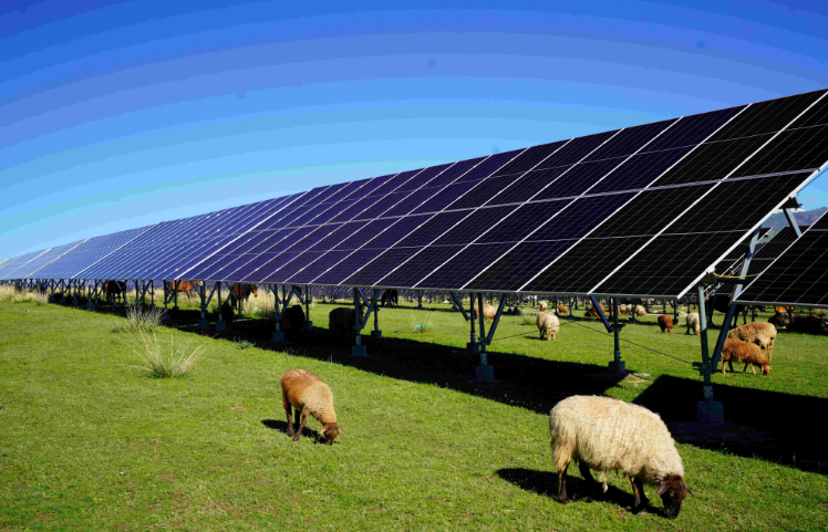 中國綠發(fā)加快建設(shè)生物多樣性領(lǐng)跑企業(yè)